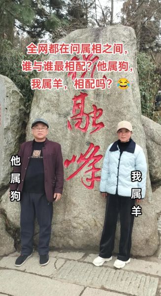 属狗和属羊的合不合_属狗和属羊的婚姻配对