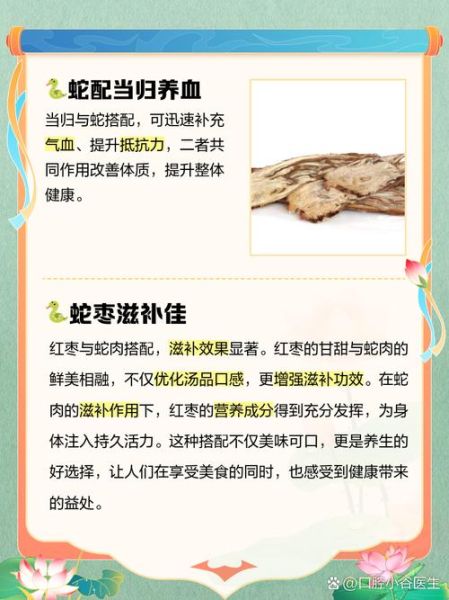 梦到炖蛇汤是什么意思_梦见炖蛇汤吉凶解析