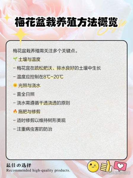 梅花金银属相是什么_梅花金银属相有哪些寓意