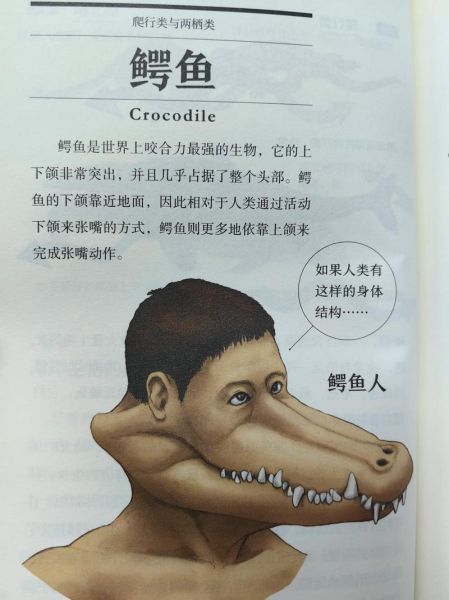 梦到被鳄鱼咬是什么意思_如何化解噩梦