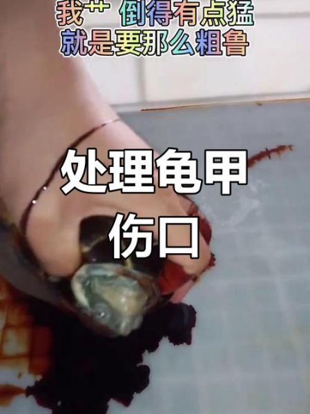 梦到被乌龟咬脚_是什么意思