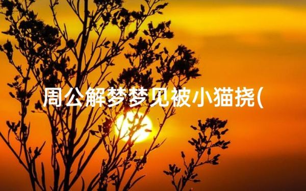 梦到被小猫抓_是什么意思