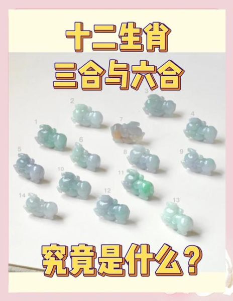 属虎和什么属相不合_属虎最忌婚配生肖