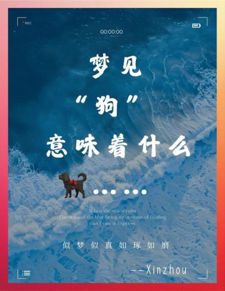 梦到狗生狗是什么意思_狗生狗梦境预示什么