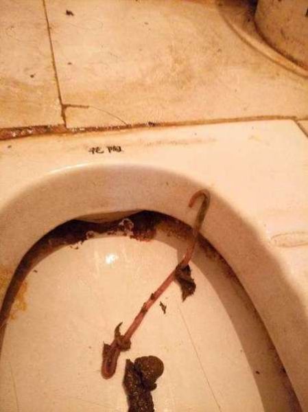 梦到恶心想吐_是什么原因