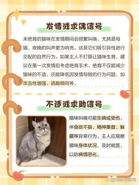 梦到猫叫声_周公解梦准吗