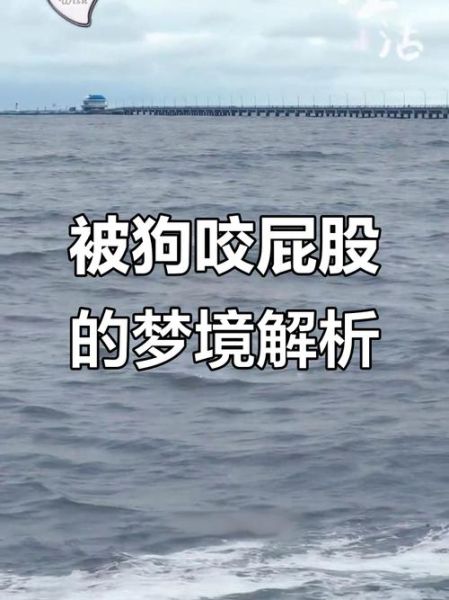 梦到狗咬别人是什么意思_周公解梦准吗