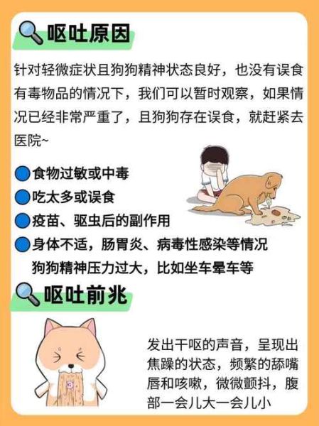 梦到吐虫子是什么意思_梦到吐虫子预示着什么