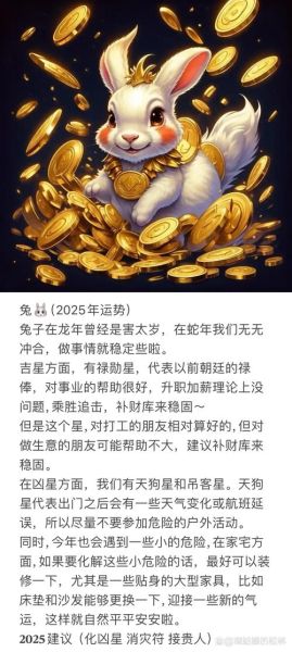 属兔适合什么颜色_属兔人2025年运势如何