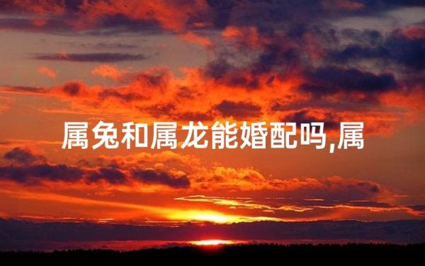 属龙和属兔结婚好吗_婚后运势如何
