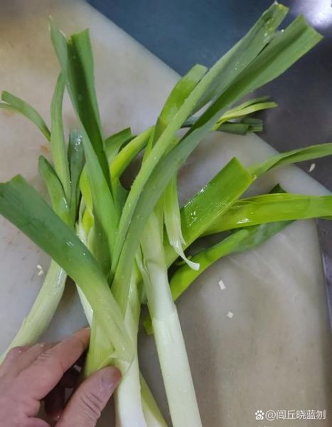 梦到蒜和葱是什么意思_梦到蒜和葱预示什么