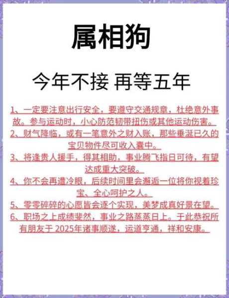 属狗逐年运势_2025到2035财运事业如何