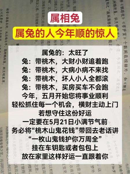 2019年属兔运势详解_属兔人全年运势如何