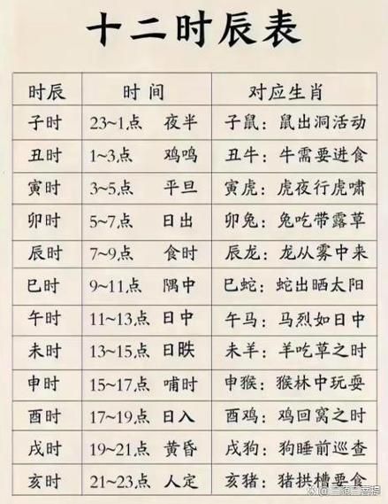 亥时属什么生肖_亥时出生运势如何
