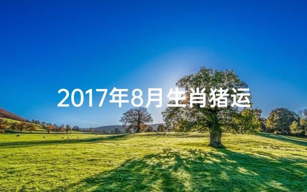 属猪2017年运势如何_属猪人2017年财运怎么样