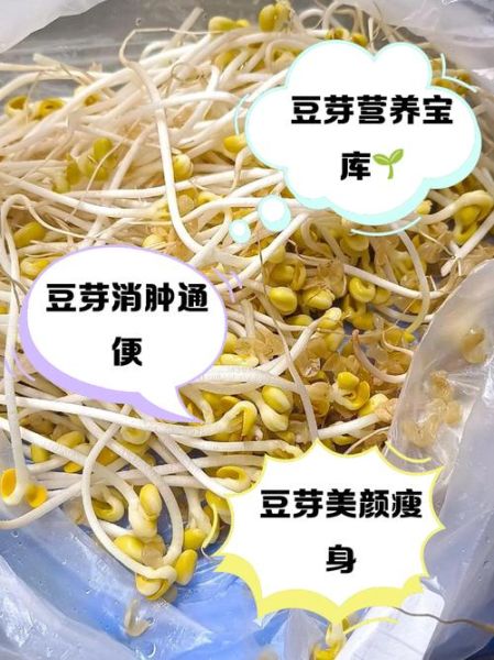 女人梦到豆芽是什么意思_女人梦见豆芽好不好