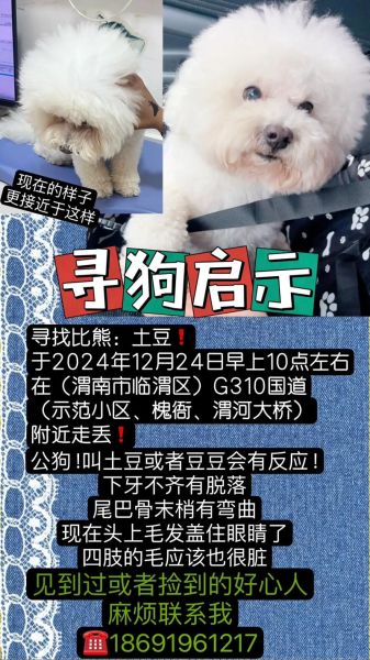 梦到狗狗脚断了_是什么意思