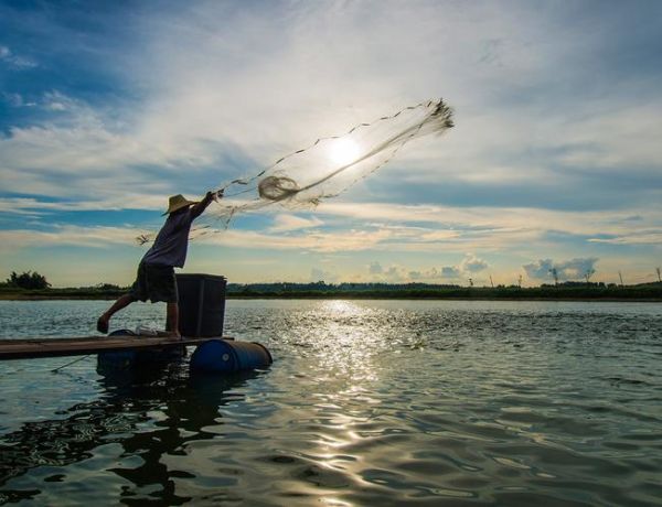梦到埋鱼是什么意思_梦到埋鱼预示什么