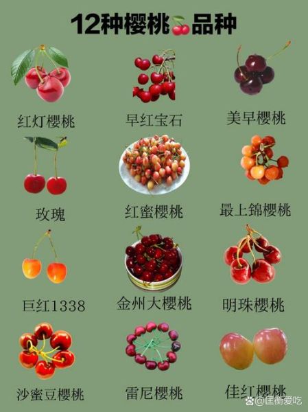 樱桃代表财运吗_樱桃招财风水讲究