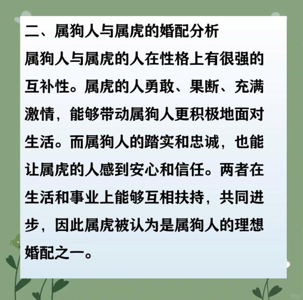 属狗男和属狗女相配吗_属狗婚配宜忌详解