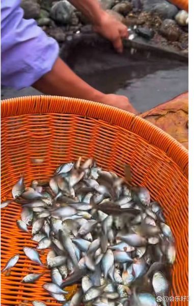 梦到河里很多鱼_是什么意思