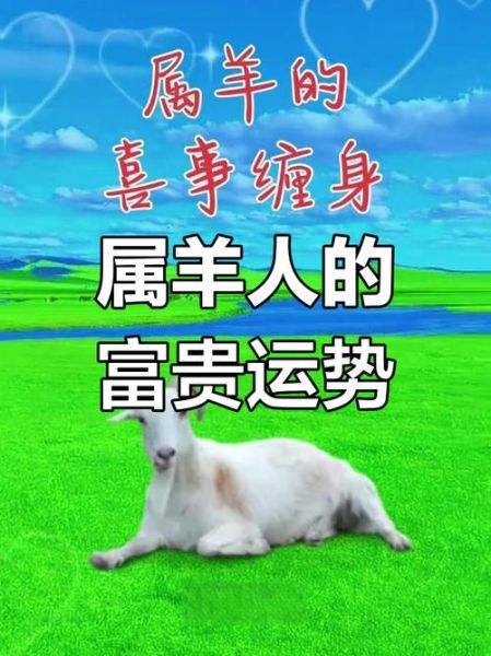 2003年属羊的财运如何_2003年出生今年财运好吗