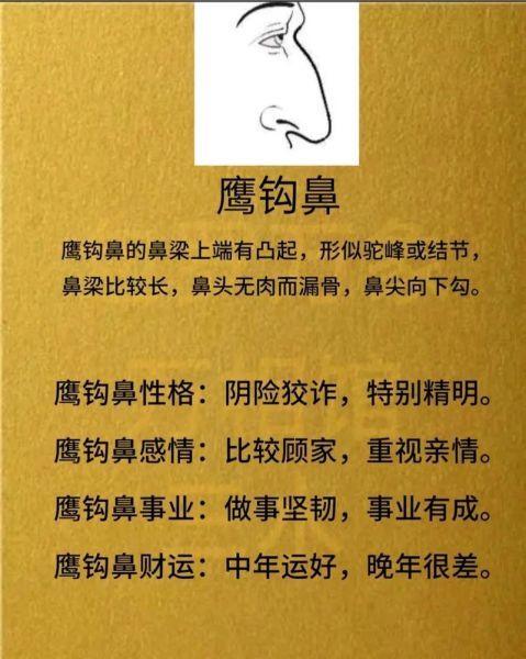 鹰钩鼻的男人财运好吗_鹰钩鼻面相财运解析